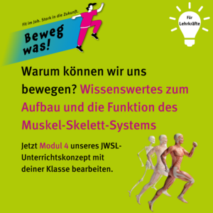 Warum können wir uns bewegen? Wissenswertes zum Aufbau und die Funktion des Muskel-Skelett-Systems. Jetzt Modul 4 unseres Unterrichtskonzepts mit deiner Klasse bearbeiten